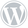 Wordpress LOGO resize